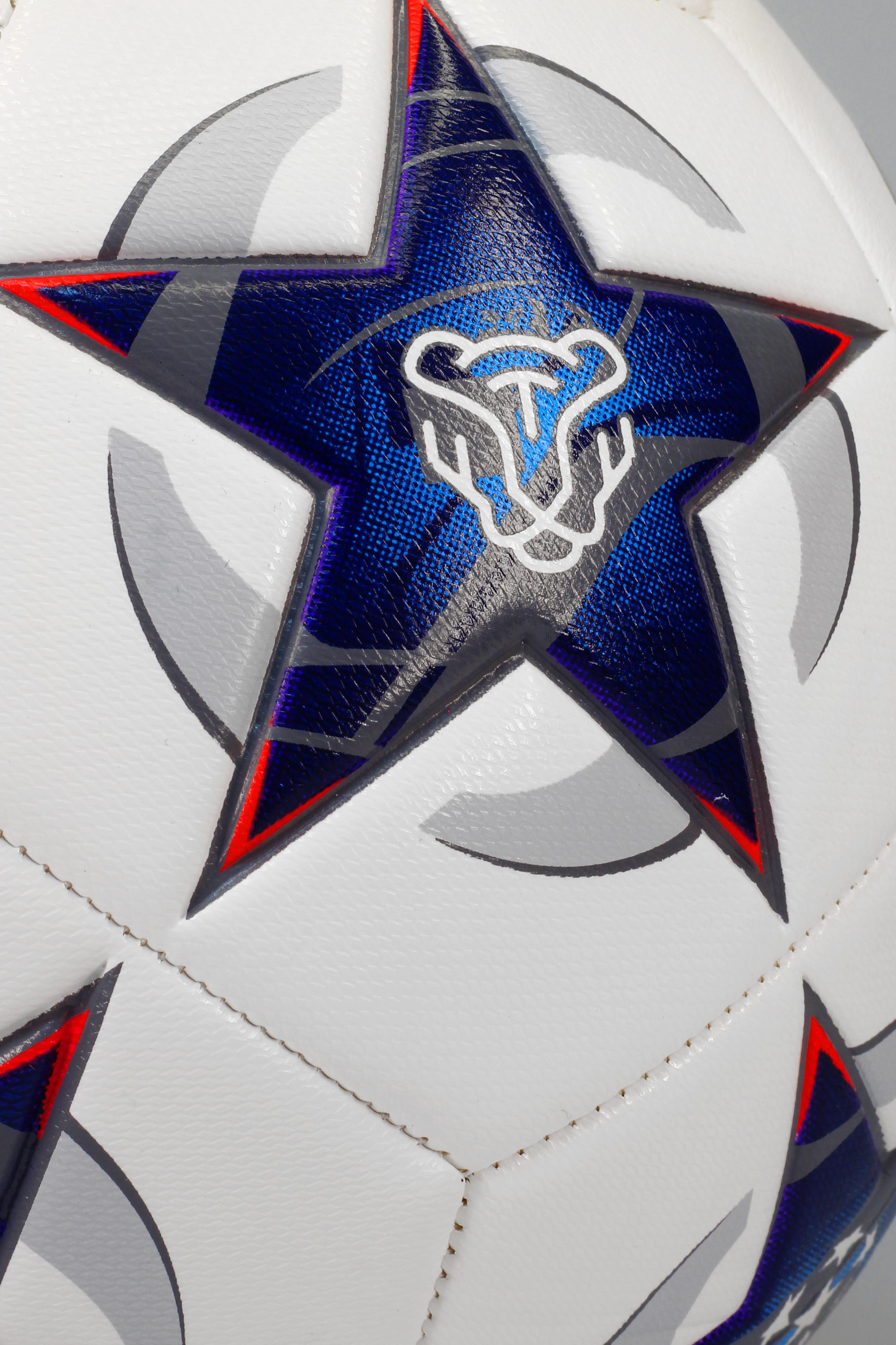 Telvesse Futbol Topu Şampiyonlar Ligi Pompalı Sert Zemin Halı Saha Futbol Topu No:5 Mavi 034 Telvesse Futbol Topu Şampiyonlar Ligi Pompalı Sert Zemin Halı Saha Futbol Topu No:5 Mavi 034